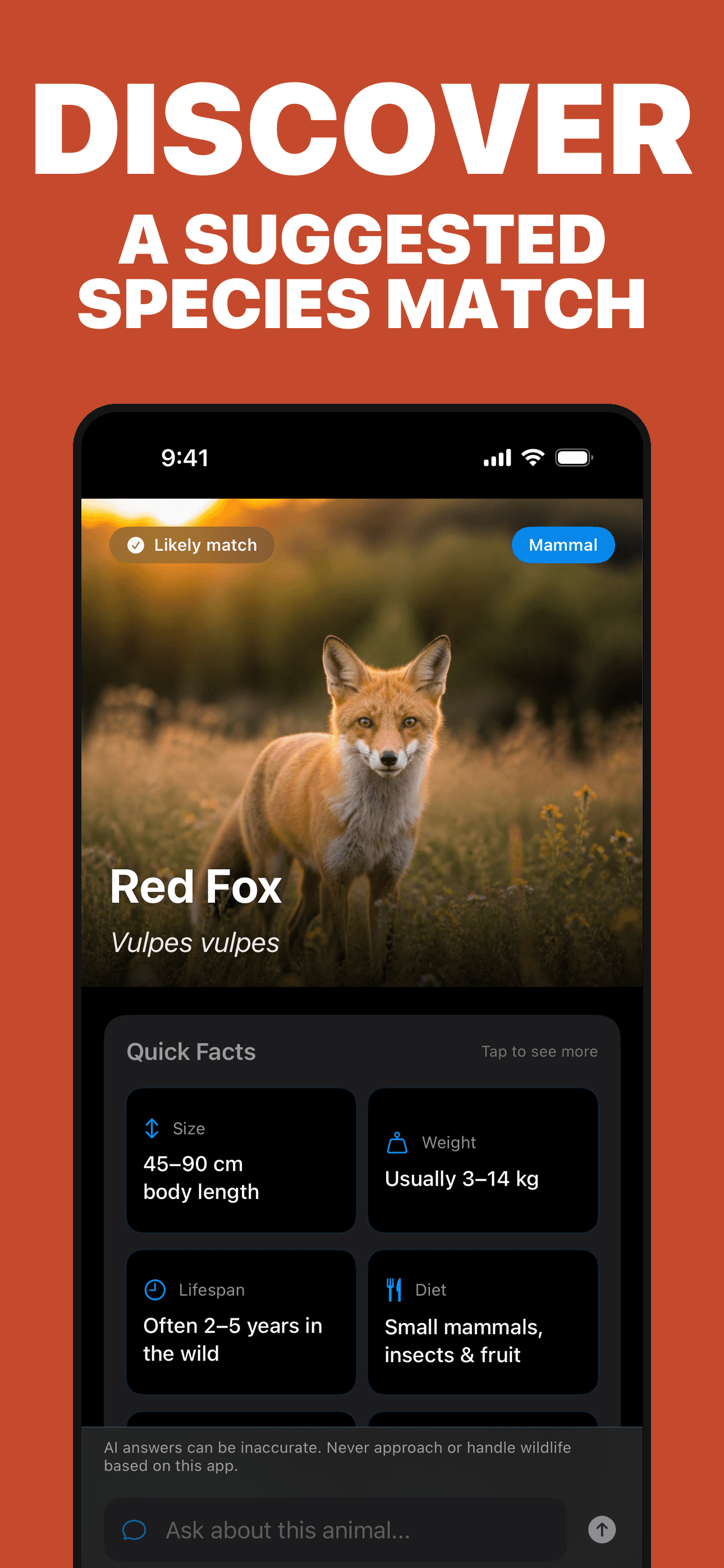 Animal Identifier suggested fox species result on iPhone