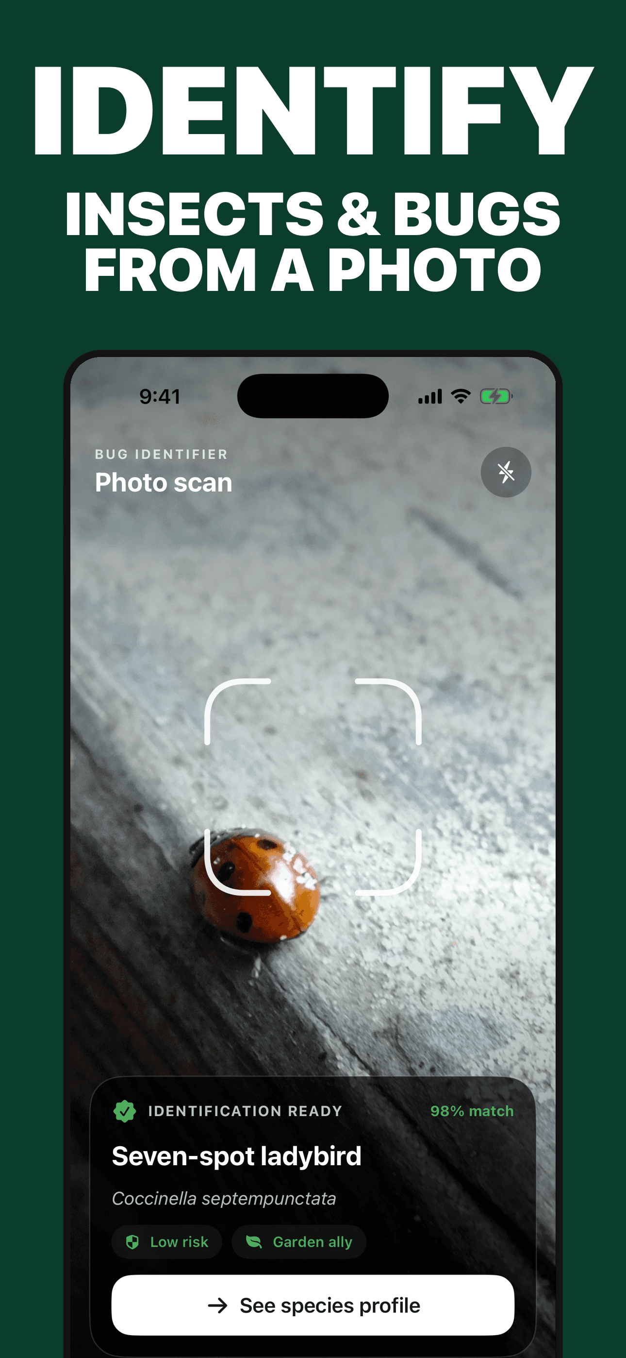Bug Identifier insect photo workflow on iPhone