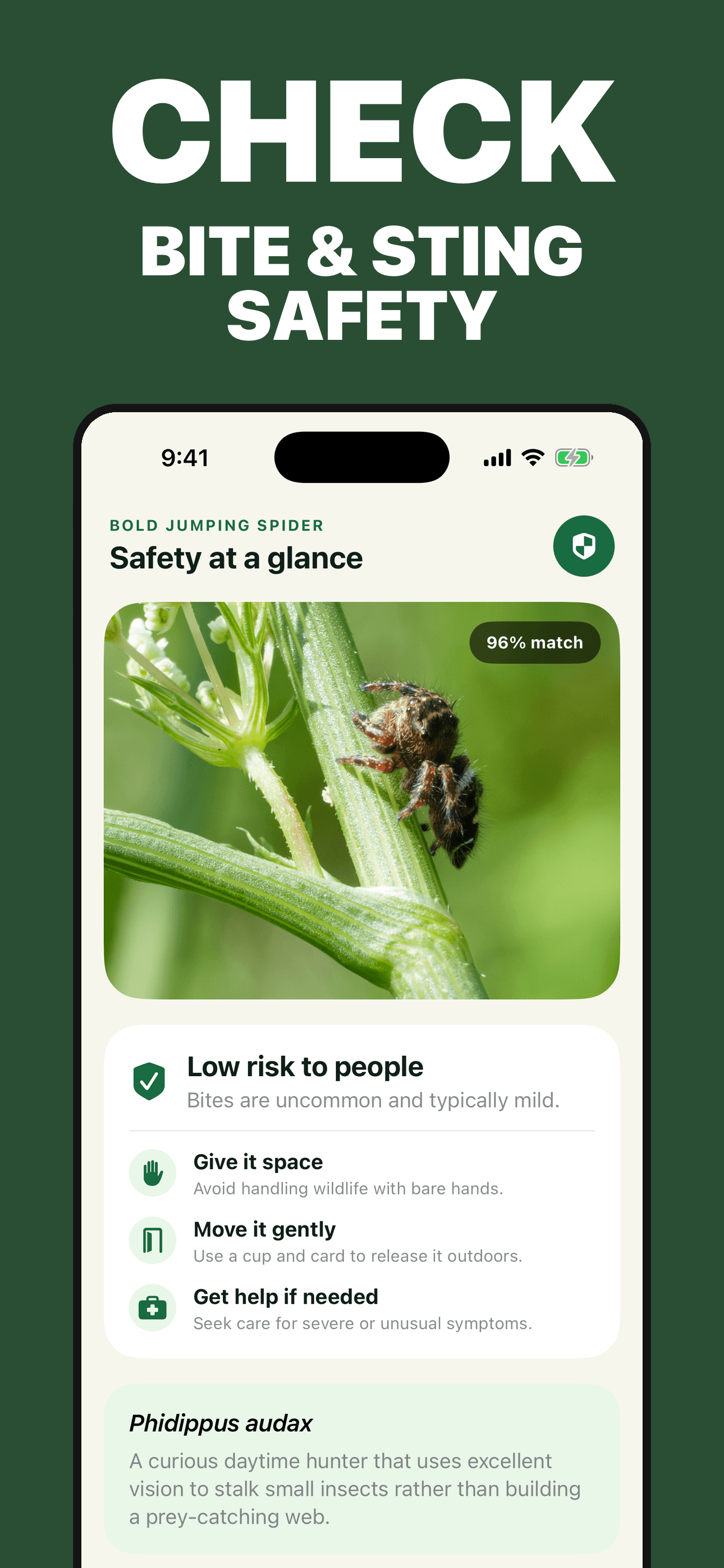 Bug Identifier cautious bite and sting context for a possible spider match on iPhone