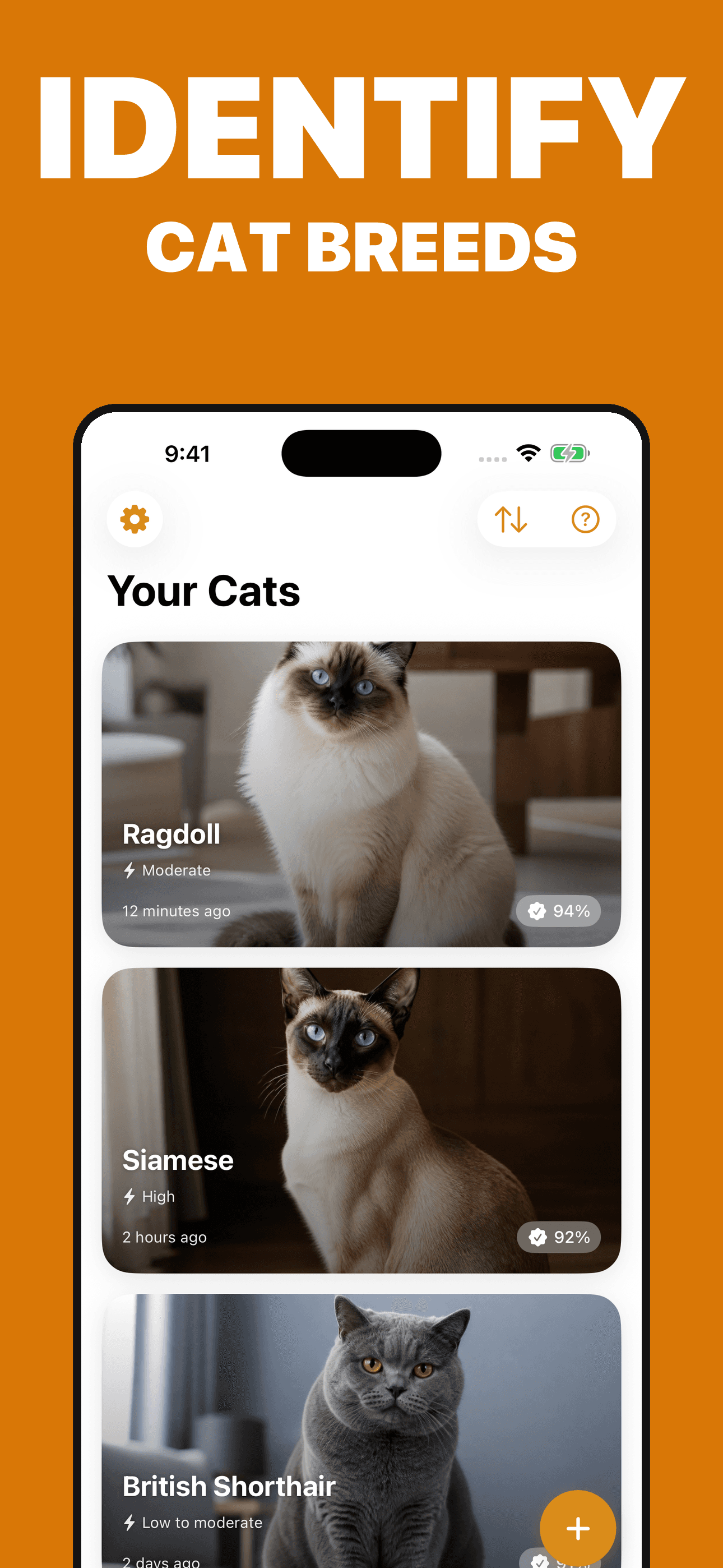 Cat Identifier likely breed match on iPhone