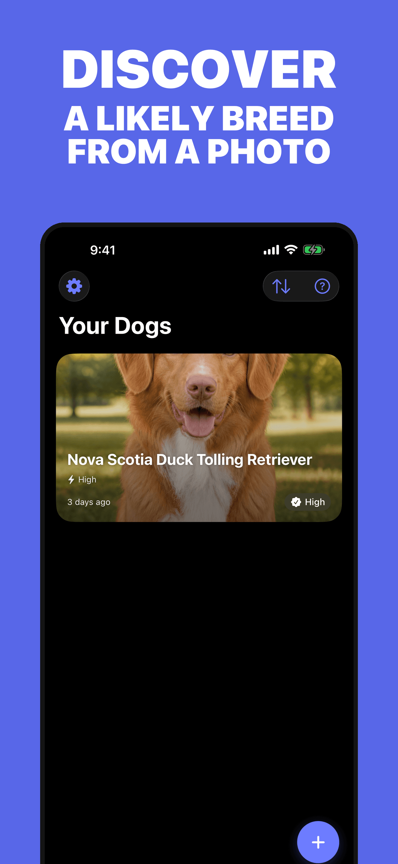Dog Identifier saved dog profile with a likely visual breed suggestion