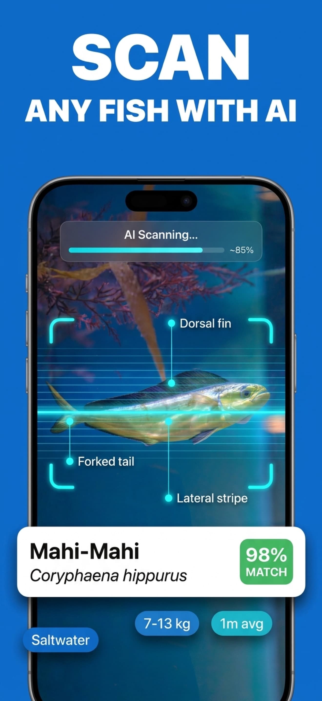 Fish Identifier scanning screen