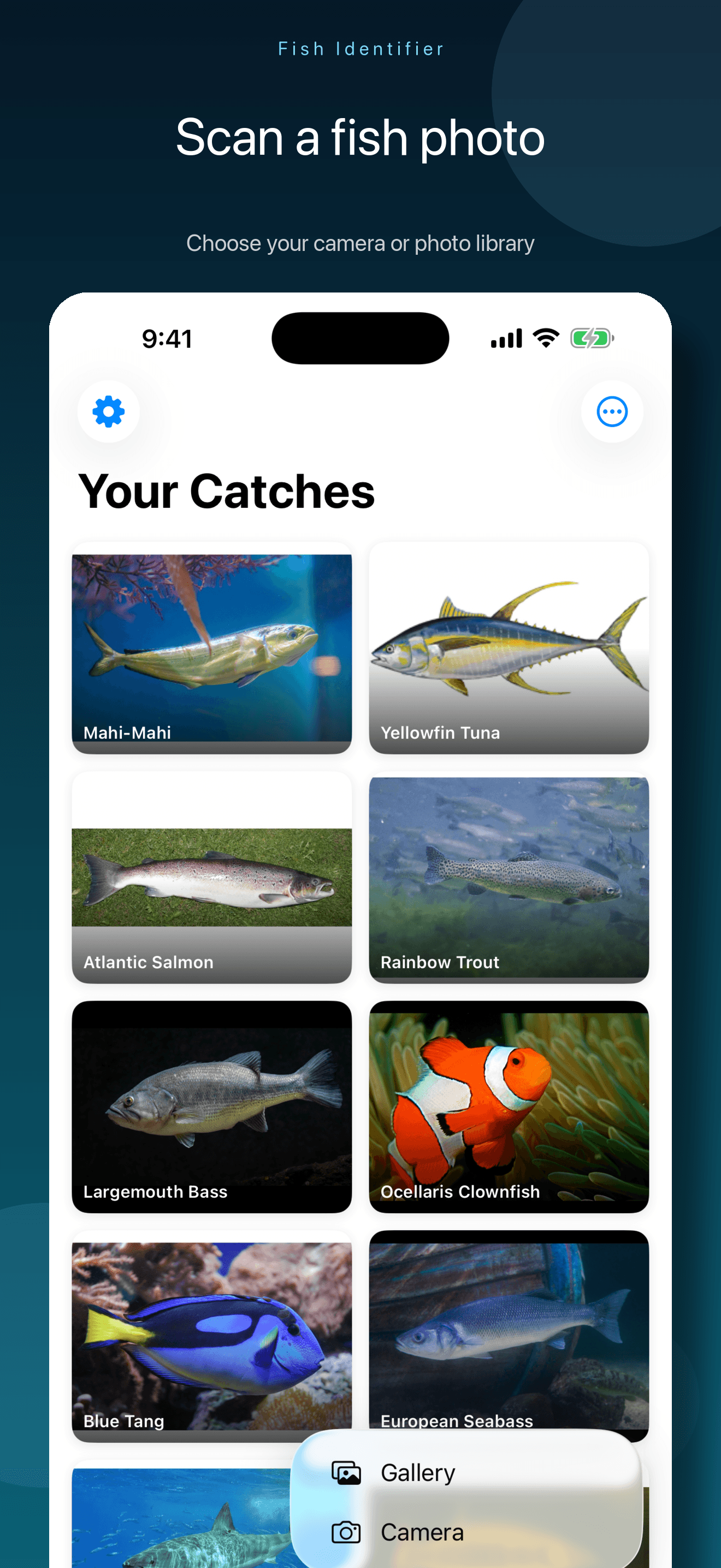 Fish Identifier photo scanner on iPhone