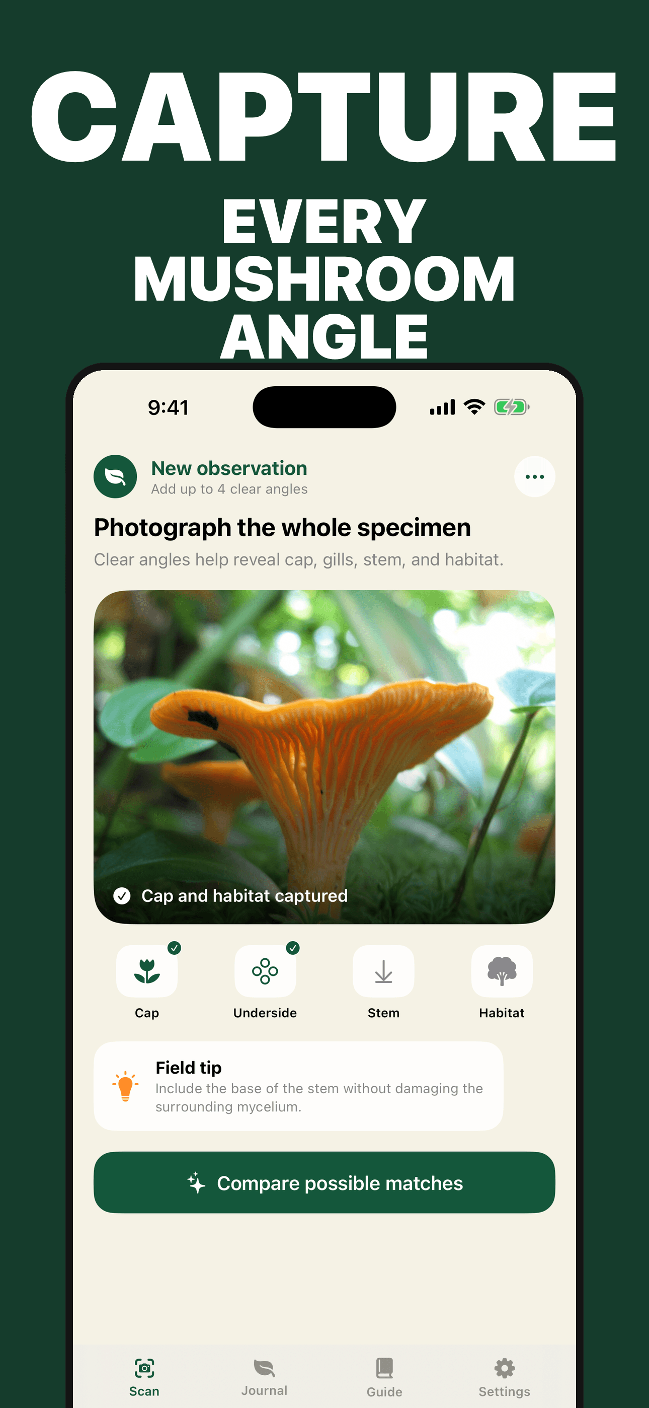 Mushroom Identifier multi-angle photo workflow on iPhone
