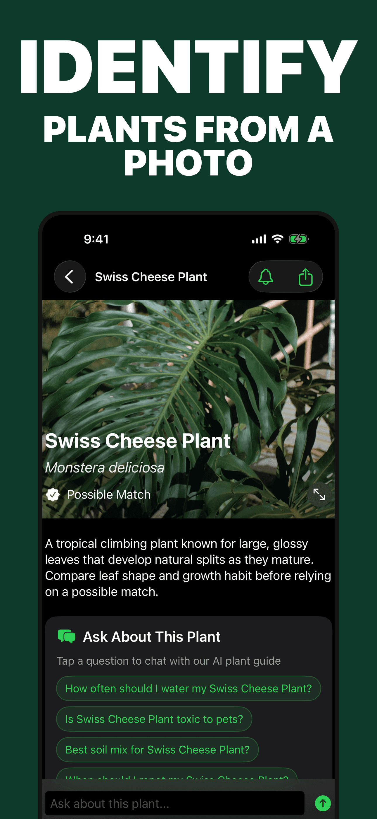 Plant ID and Care Guide possible Swiss cheese plant match on iPhone