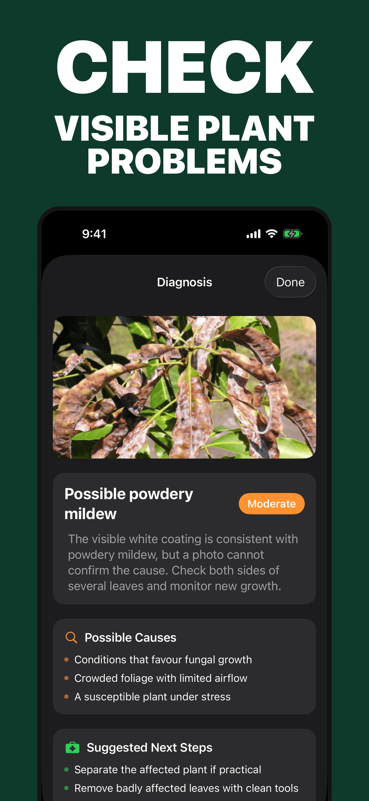 Plant ID and Care Guide visible plant problem check with qualified possible causes on iPhone